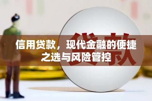 务川信用贷款，现代金融的便捷之选与风险管控