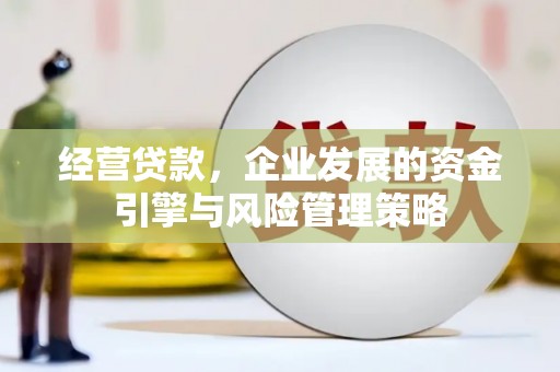 务川经营贷款，企业发展的资金引擎与风险管理策略