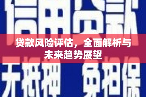 务川贷款风险评估，全面解析与未来趋势展望