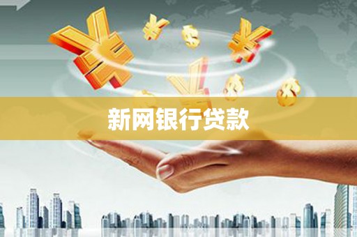 务川新网银行贷款