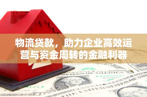 务川物流贷款，助力企业高效运营与资金周转的金融利器