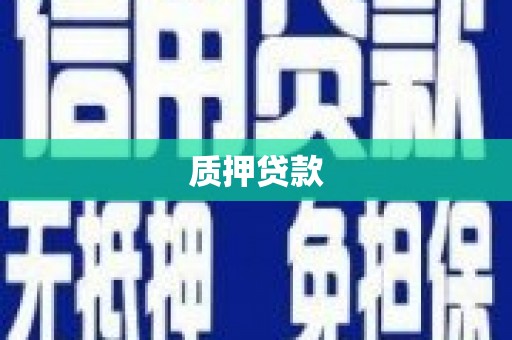 务川质押贷款