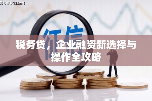 务川税务贷，企业融资新选择与操作全攻略