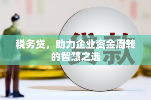 务川税务贷，助力企业资金周转的智慧之选