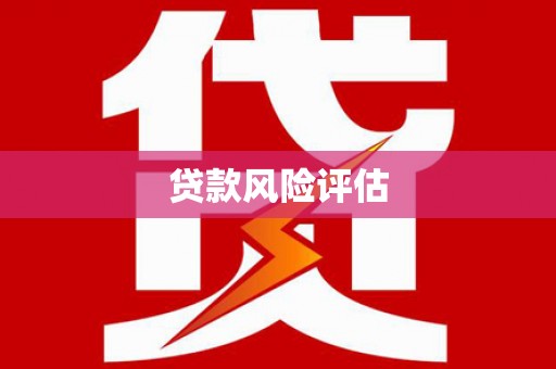 务川贷款风险评估