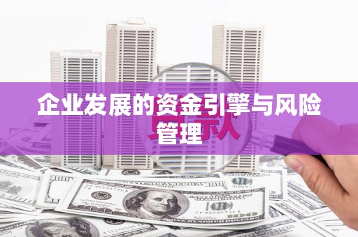 务川企业发展的资金引擎与风险管理