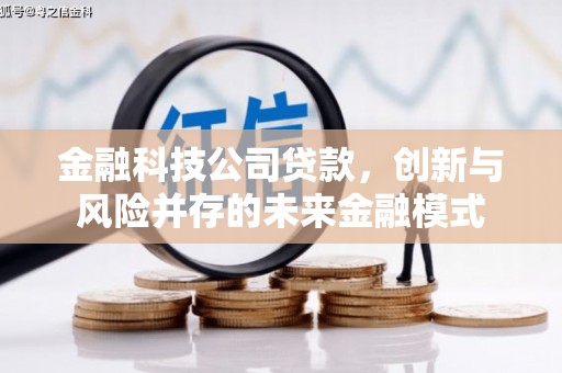 务川金融科技公司贷款，创新与风险并存的未来金融模式