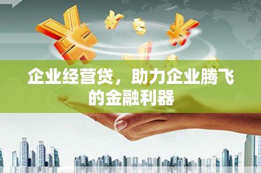务川企业经营贷，助力企业腾飞的金融利器