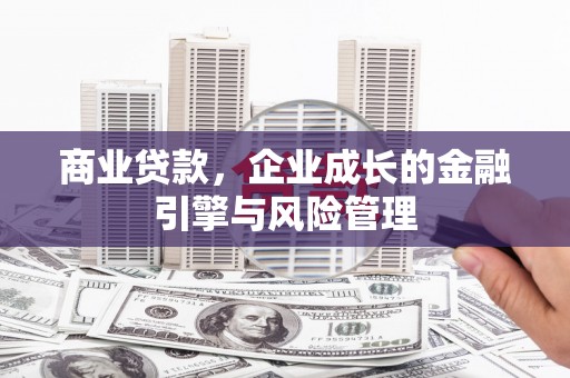 务川商业贷款，企业成长的金融引擎与风险管理