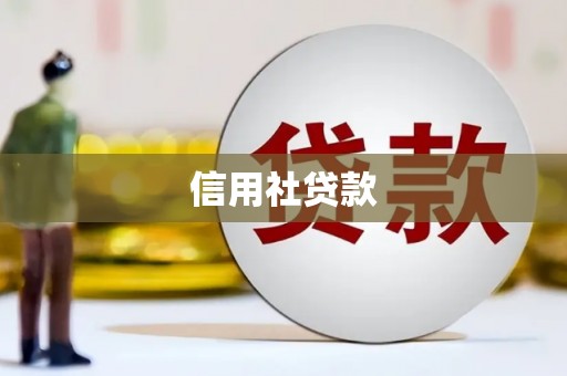 务川信用社贷款
