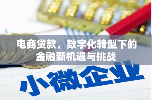 务川电商贷款，数字化转型下的金融新机遇与挑战