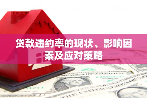 务川贷款违约率的现状、影响因素及应对策略