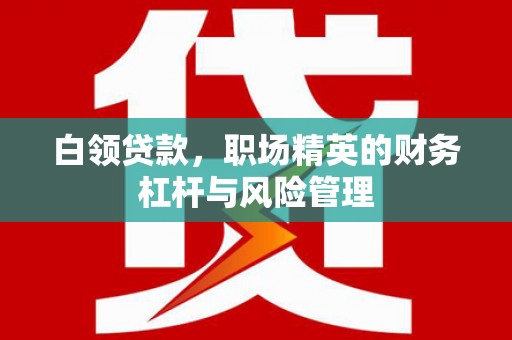 务川白领贷款，职场精英的财务杠杆与风险管理
