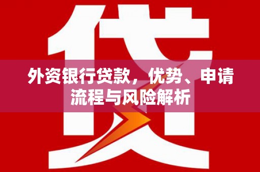 务川外资银行贷款，优势、申请流程与风险解析