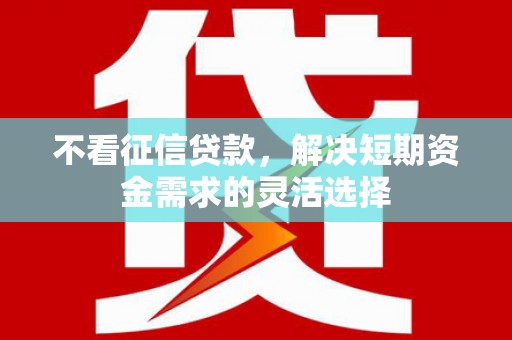 务川不看征信贷款，解决短期资金需求的灵活选择