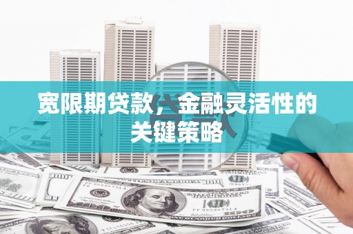 务川宽限期贷款，金融灵活性的关键策略