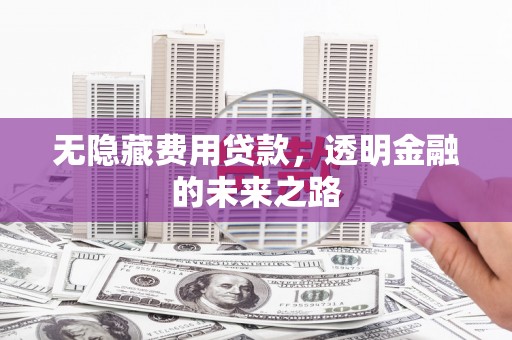务川无隐藏费用贷款，透明金融的未来之路