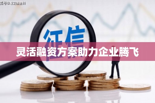 务川灵活融资方案助力企业腾飞