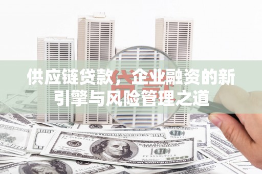 务川供应链贷款，企业融资的新引擎与风险管理之道