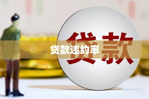 务川贷款违约率