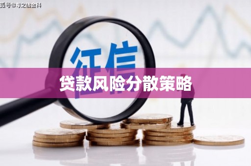 务川贷款风险分散策略