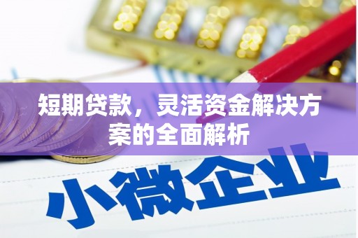 务川短期贷款，灵活资金解决方案的全面解析