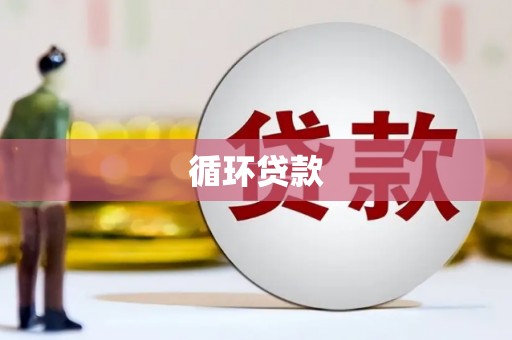 务川循环贷款