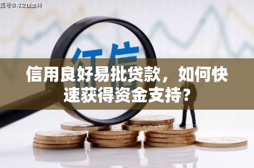 务川信用良好易批贷款，如何快速获得资金支持？