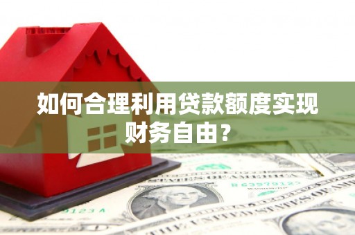务川如何合理利用贷款额度实现财务自由？
