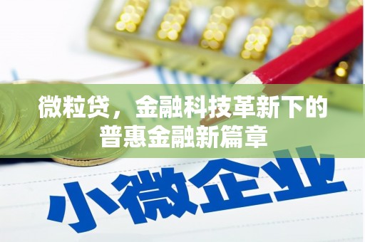 务川微粒贷，金融科技革新下的普惠金融新篇章