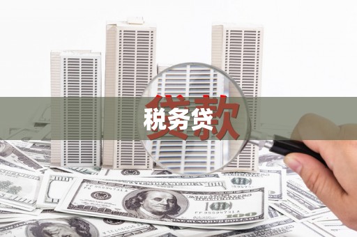 务川税务贷