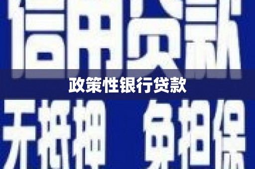 务川政策性银行贷款