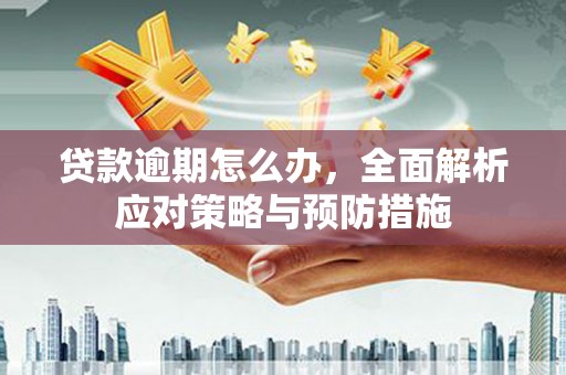 务川贷款逾期怎么办，全面解析应对策略与预防措施