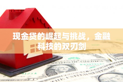 务川现金贷的崛起与挑战，金融科技的双刃剑
