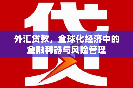 务川外汇贷款，全球化经济中的金融利器与风险管理