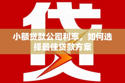 务川小额贷款公司利率，如何选择最佳贷款方案