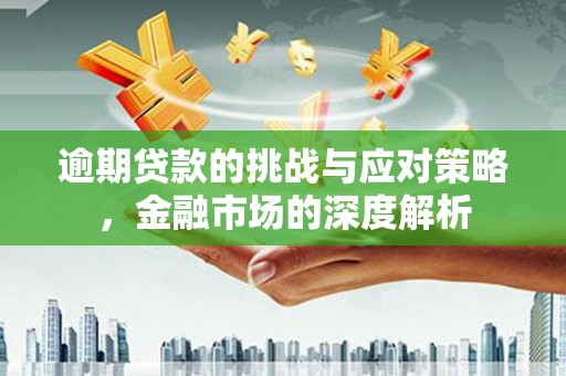 务川逾期贷款的挑战与应对策略，金融市场的深度解析