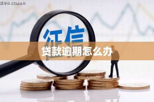 务川贷款逾期怎么办