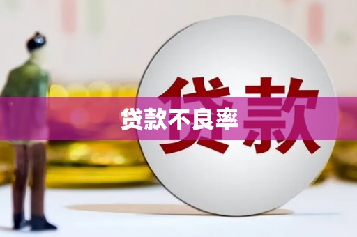 务川贷款不良率