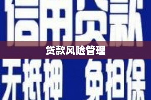务川贷款风险管理
