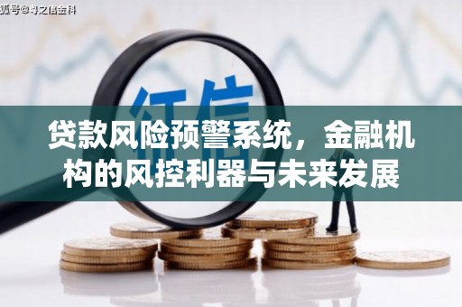 务川贷款风险预警系统，金融机构的风控利器与未来发展