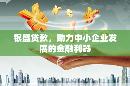 务川银盛贷款，助力中小企业发展的金融利器