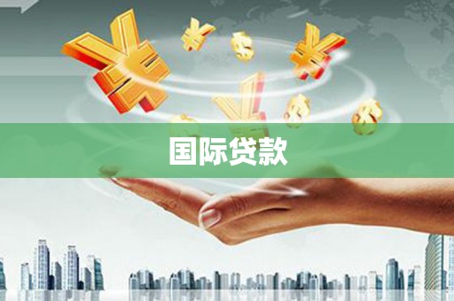 务川国际贷款