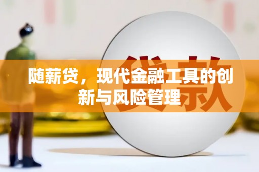 务川随薪贷，现代金融工具的创新与风险管理