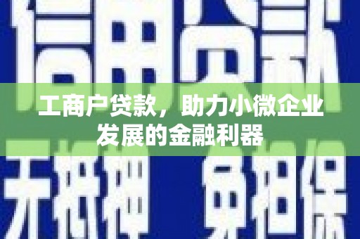 务川工商户贷款，助力小微企业发展的金融利器