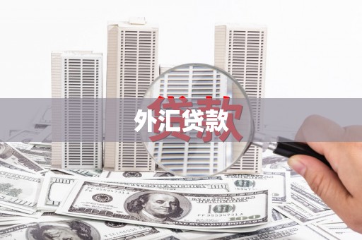 务川外汇贷款