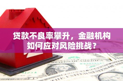 务川贷款不良率攀升，金融机构如何应对风险挑战？