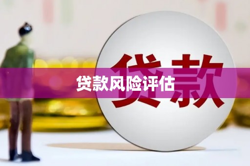 务川贷款风险评估