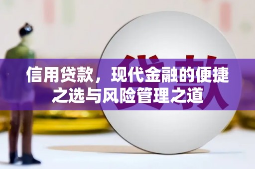 务川信用贷款，现代金融的便捷之选与风险管理之道