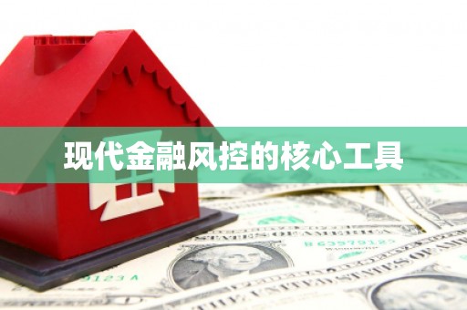 务川现代金融风控的核心工具